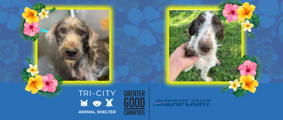 two dogs available for adoption and Hawaiian flowers. Participating agency logos: Tri-City Animal Shelter, Greater Good Charities, and Ameriflight