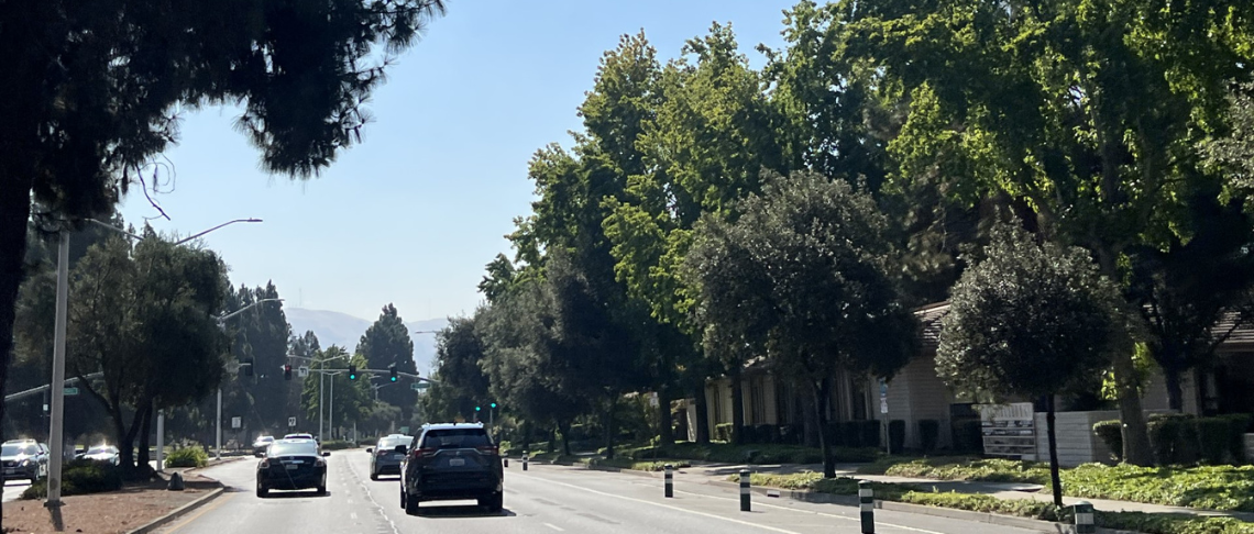 street trees alongside of roadway with cards driving next to bike lane
