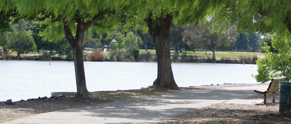 pathway in Central Park with Lake Elizabeth and trees