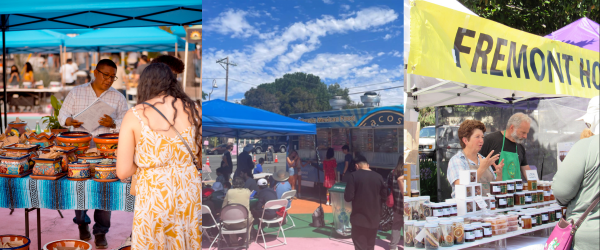 Taste of Summer Recap