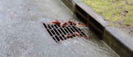 storm drain with leaves on grate against a curb