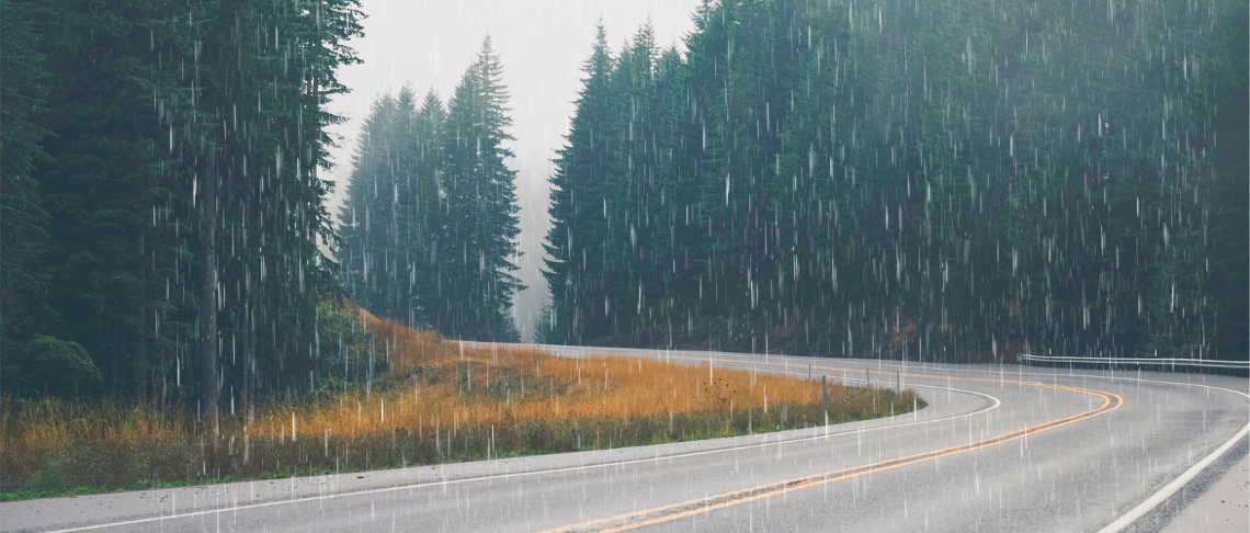 open roadway around a curve, rain, and trees