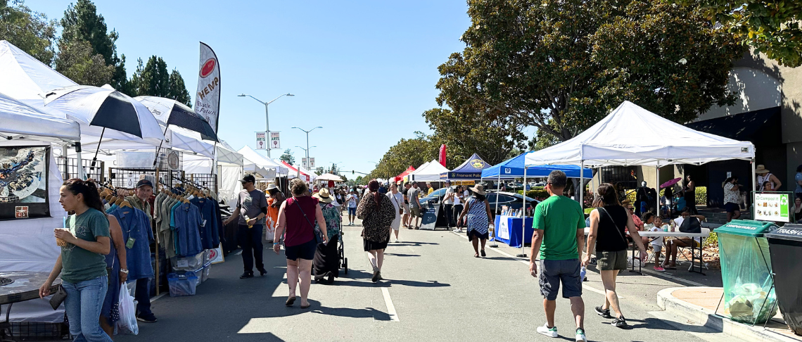 people walking in the street at a special event with booths