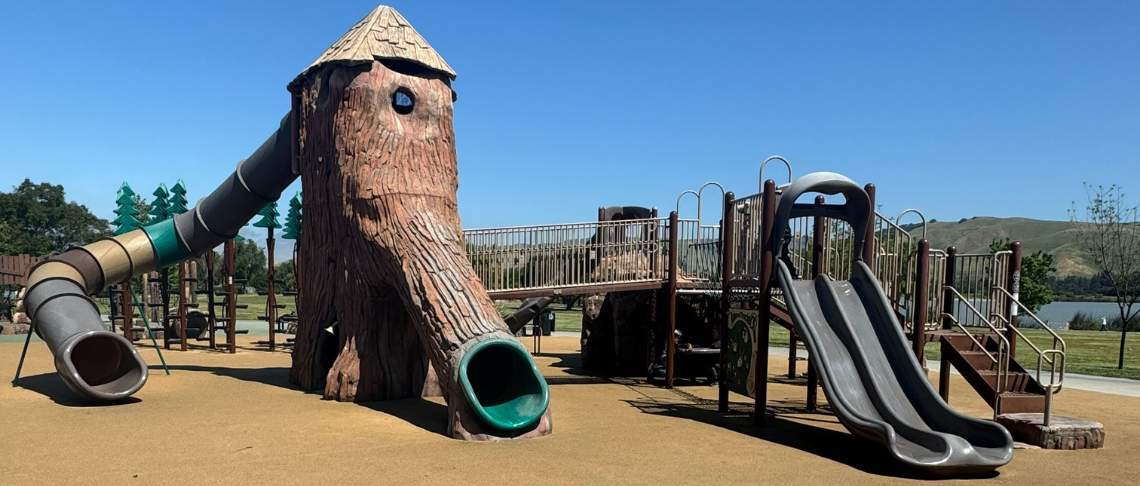 Play Structure at Sabercat Play Area at Central Park 
