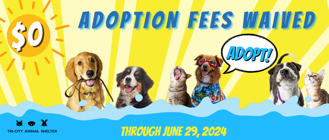 cats and dogs. In text: Adoption Fees Waived through June 29, 2024.