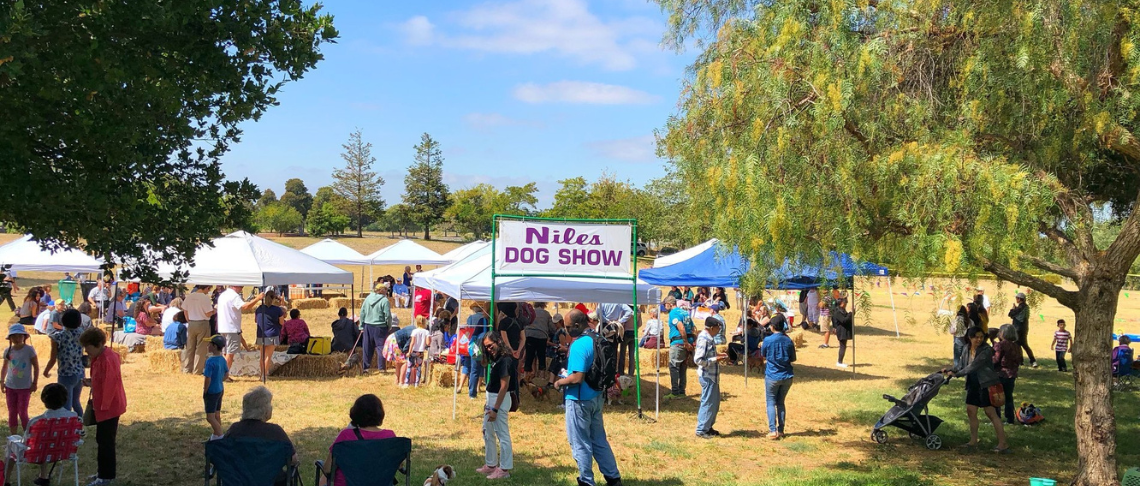 Niles Dog Show 