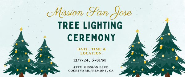 MSJ Tree Lighting
