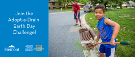 Boy and Adult cleaning out neighborhood drain with rakes