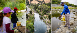 Volunteers picking up litter along the Alameda Creek
