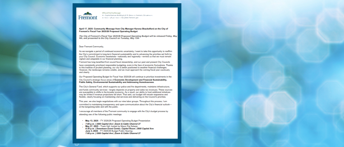 Copy of the budget message on a light blue background