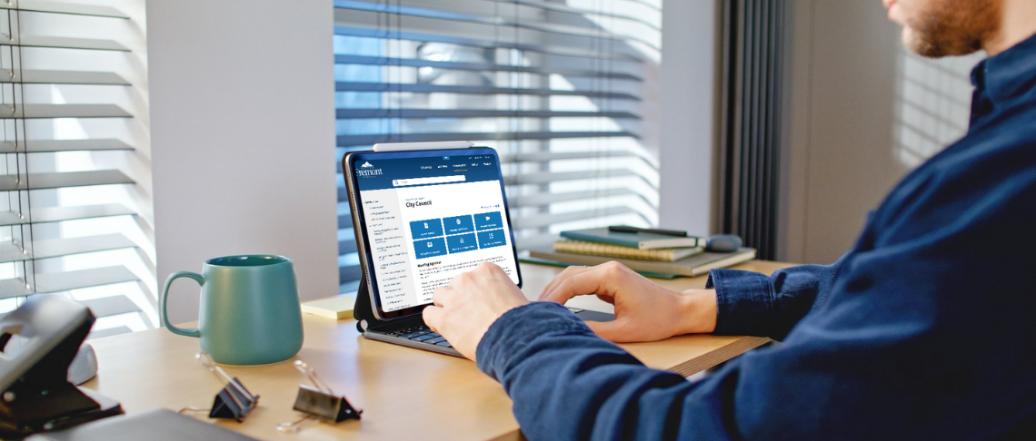 Public Comment. Image of person on computer.