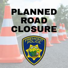 Traffic cones with PD Logo