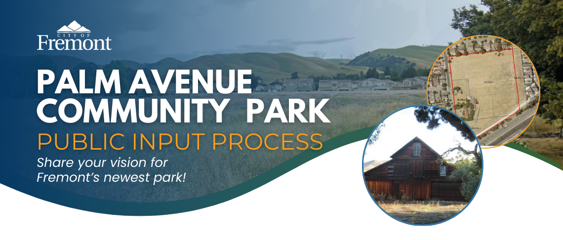 Palm Avenue Community Park Public Input Process 