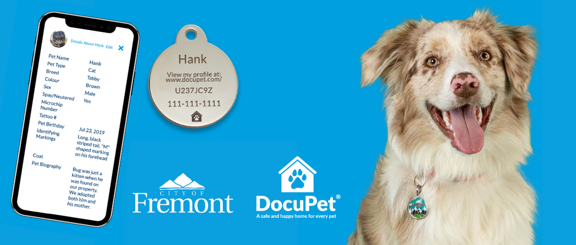 Photo of dog, and DocuPet system