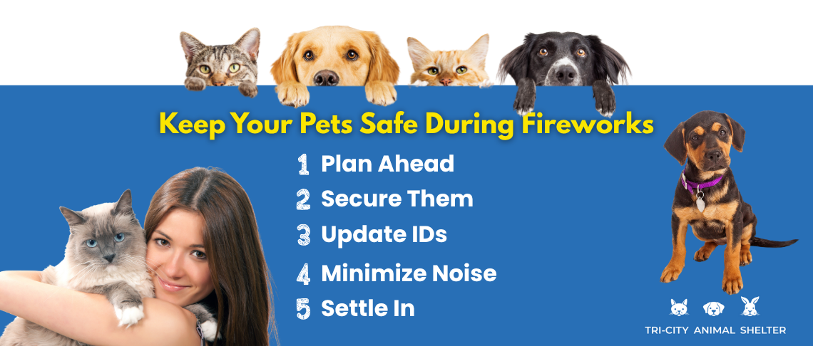 Keep your pets safe during fireworks