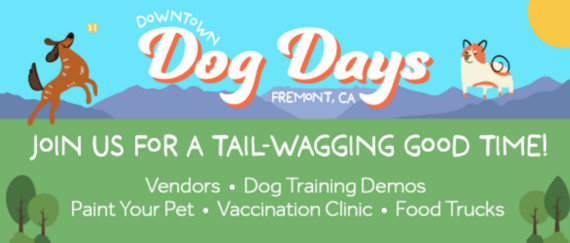 Downtown Dog Days Event, Photo of grass, the sun, and dogs