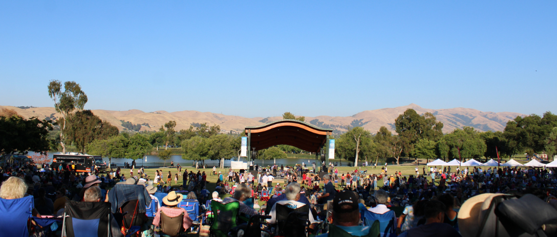 Photo of community members at summer concert 