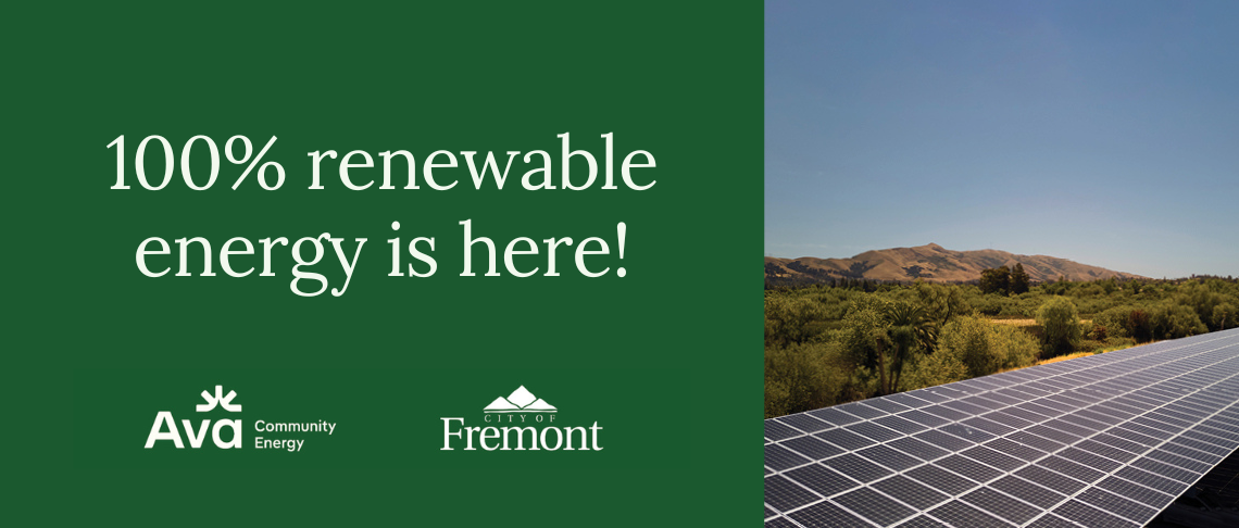 100% renewable energy is here