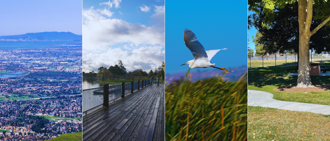 Upcoming Updates to Fremont’s General Pla