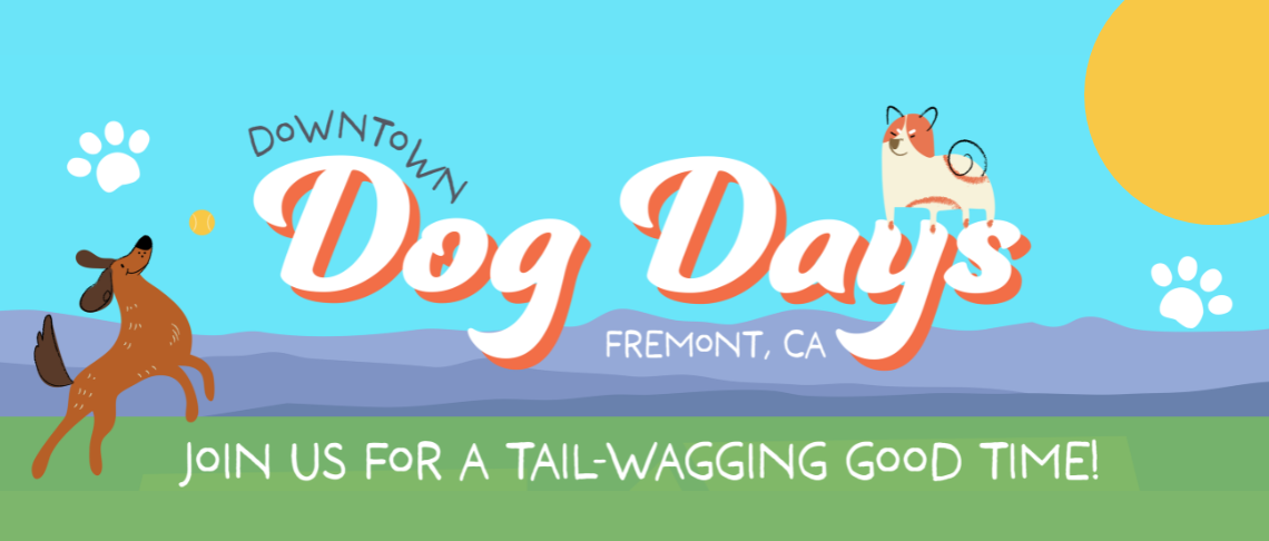 Downtown Dog Days. Image of dogs, grass, and the sun.