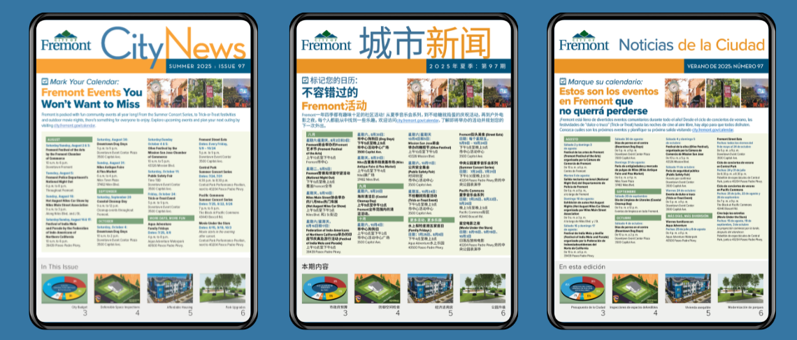 Photo of three City News articles in different languages 