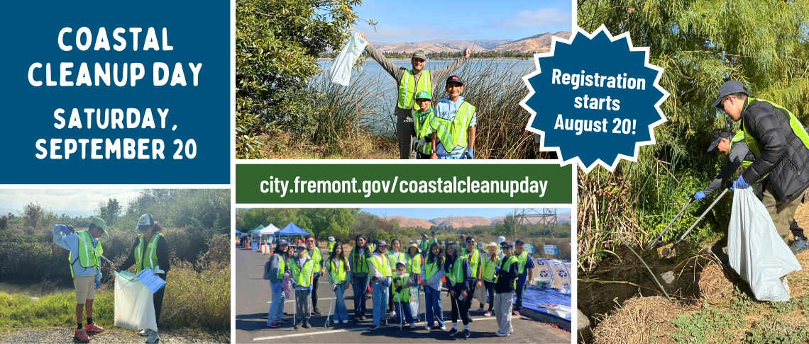 Staff and volunteers working at Coastal Cleanup Day 