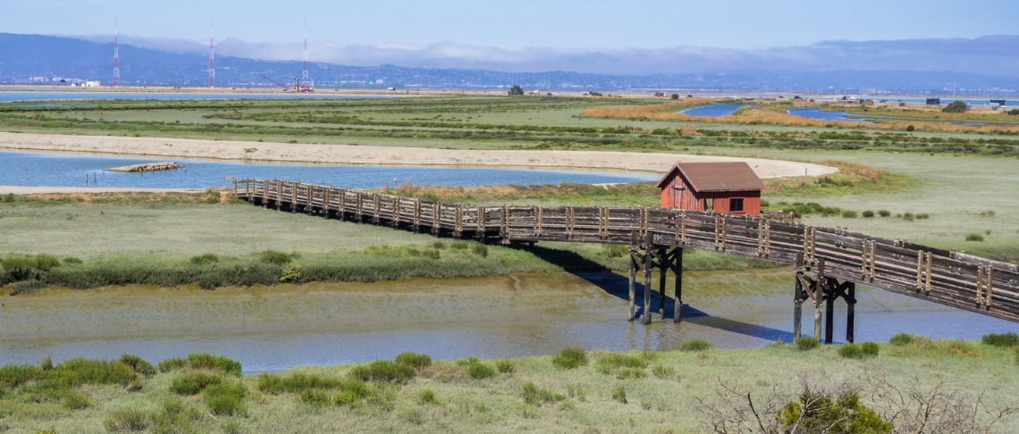 Don Edwards, photo of wetlands