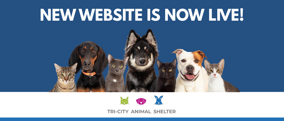 New Tri-City Animal Shelter, Photo of Animals