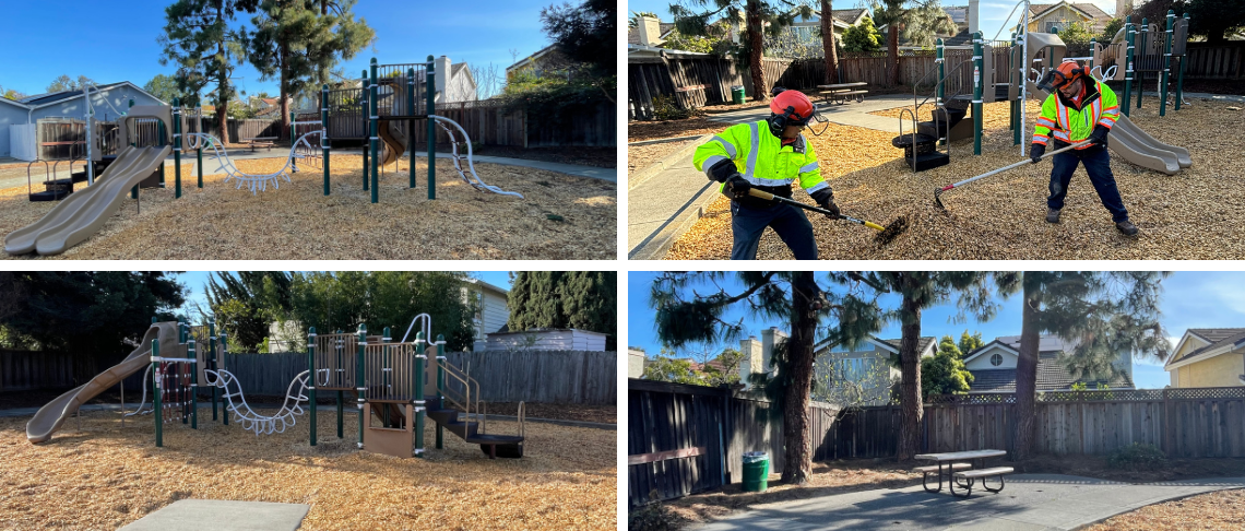 Photos of Surry Park and staff 