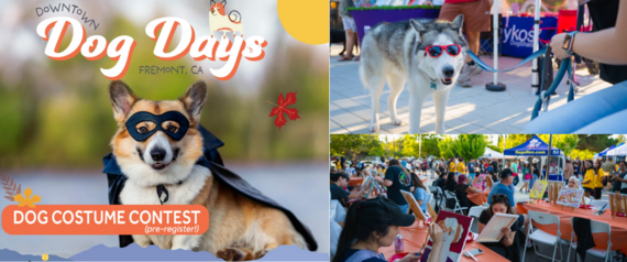 Photos from Downtown Dog Days Event. Community painting, dogs, and fun.