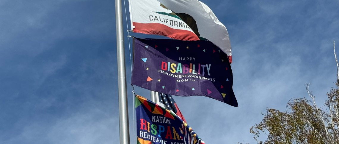 Disability Employment Awareness Month Flag 