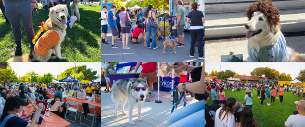 Downtown Dog Dyas: {photos of dogs in costumes from the event and photos of crowds