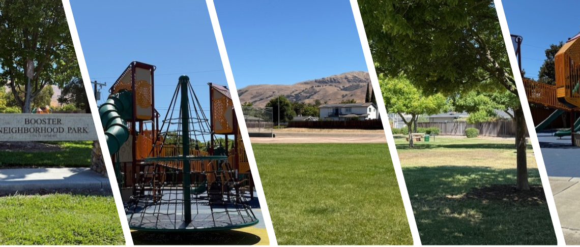 Park of The Month: Photo of Surrey Park