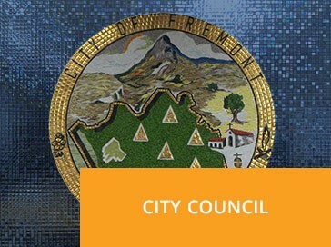 City Council