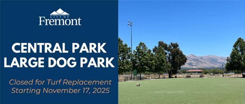 Central Park Dog Park Closure 