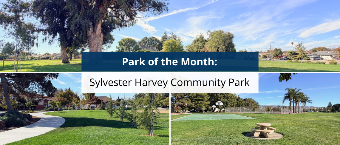 Park Of The Month- December- Sylvester Harvey Community Park