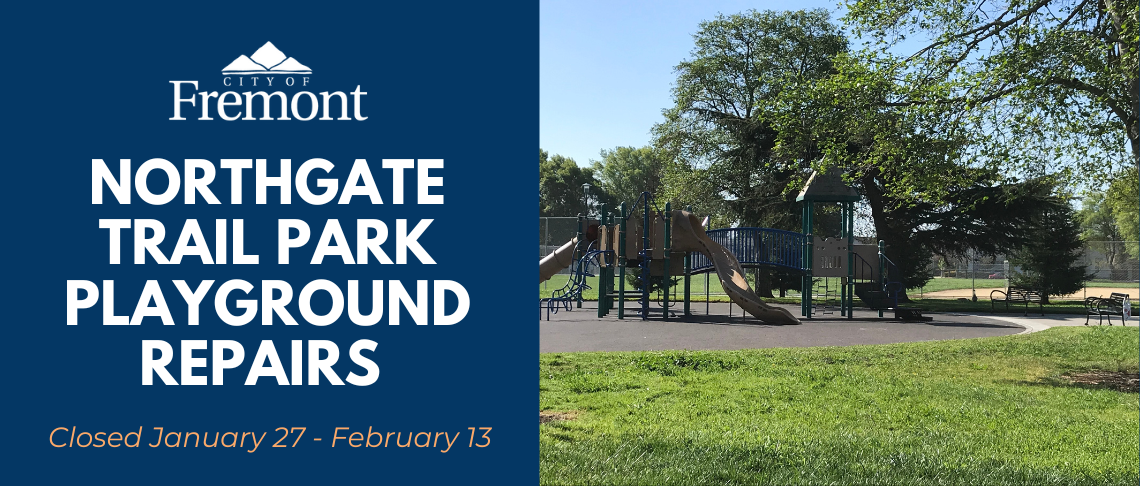 Playground and grass