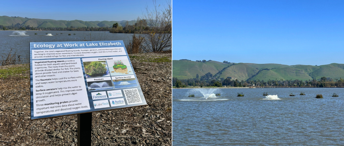 Sign at Lake Elizabeth explaining ecology with water fountains