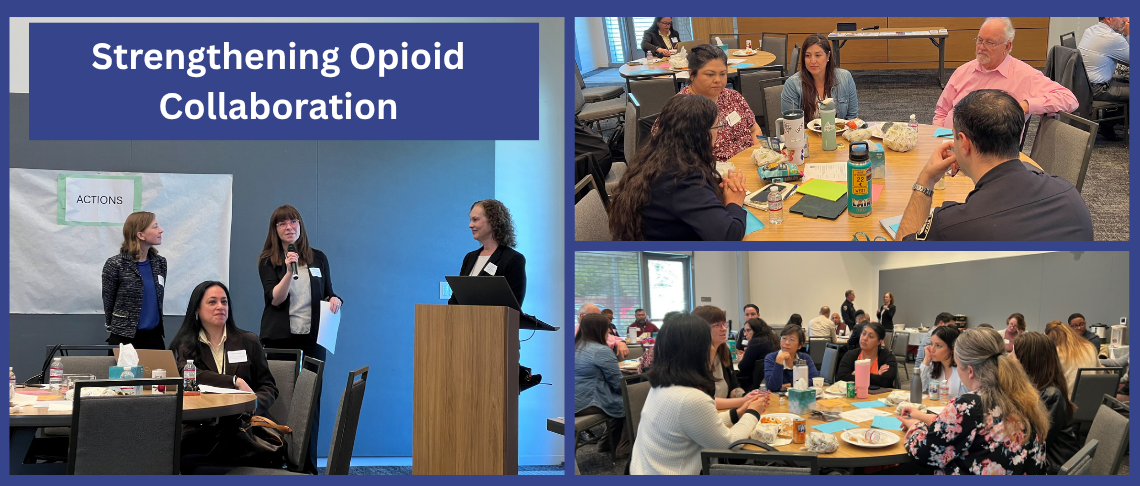 Stakeholders gather around tables to discuss strengthen collaboration fighting opiods