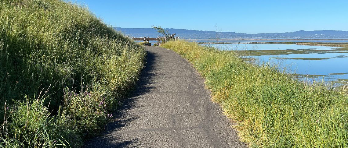 Bayview Trail at Coyote Hills Regional Park