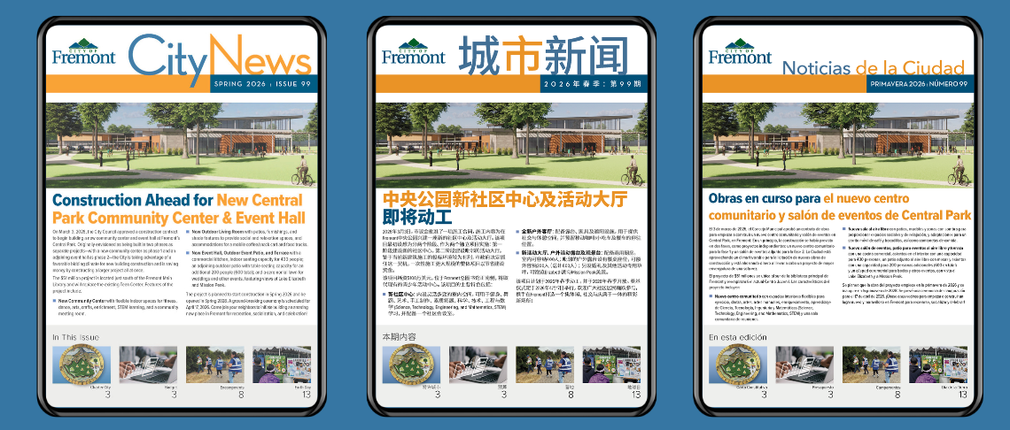 City News Translations