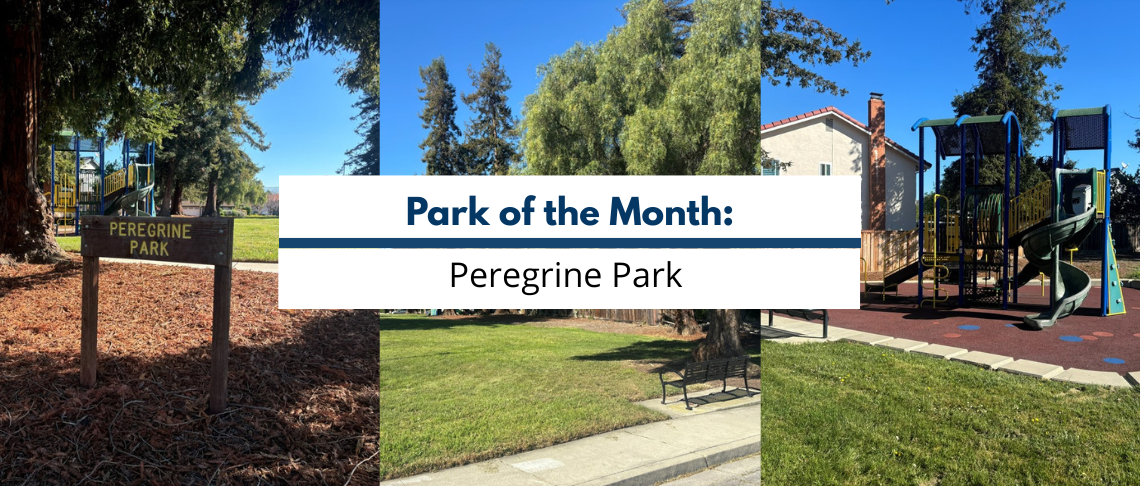 Peregrine Park