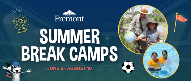 Summer Break Camps