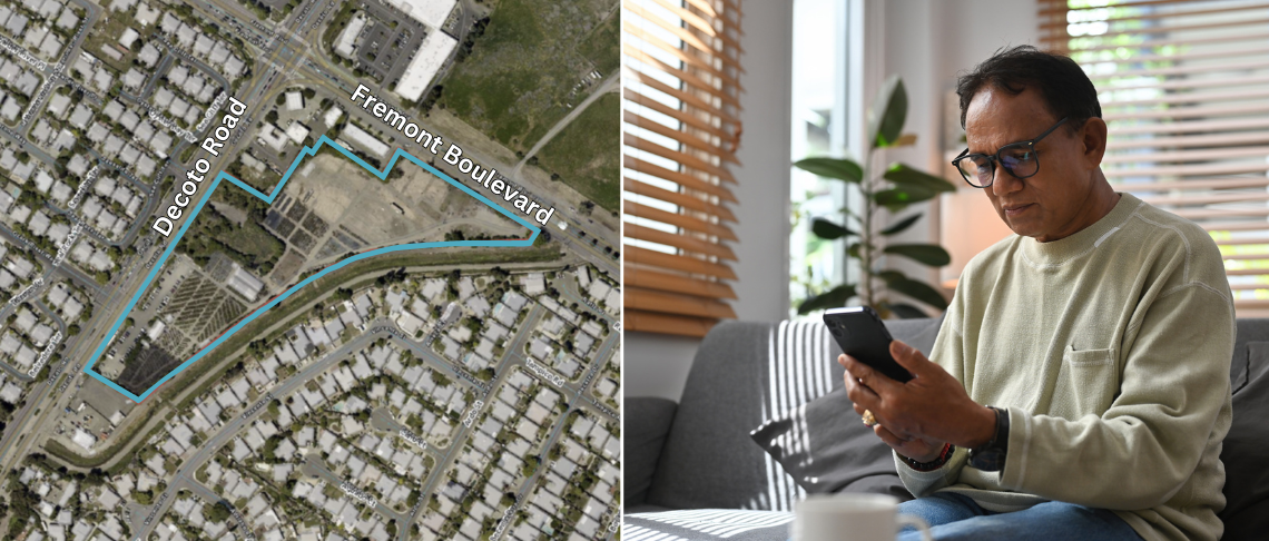 Fremont Decoto Survey
