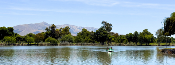 Pedal Boats Lake Elizabeth 