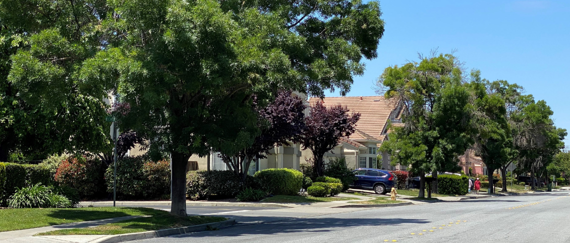 Photo of a household