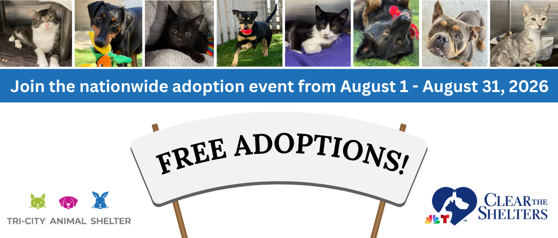 Free Adoptions