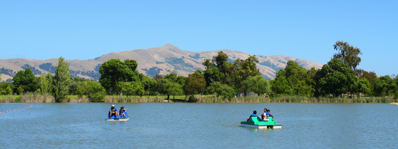 Two pedal boats, each with two people on calm Lake Elizabeth surrounded by green trees and distant hills under a clear blue sky.