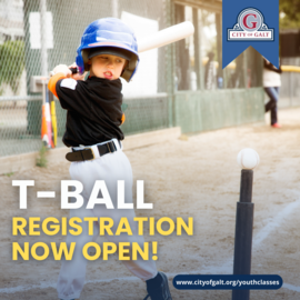 t ball registration