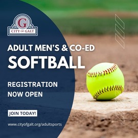 Adult Softball